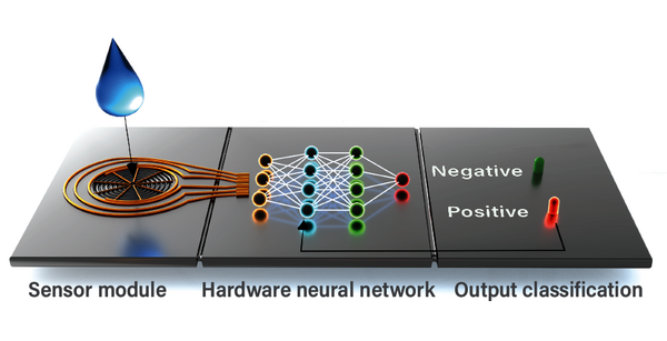 The neuromorphic biosensing chip. Image: Eveline van Doremaele